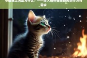 小猫晚上叫的原因解析，揭秘猫咪夜间行为与需求