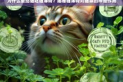 猫薄荷的神奇魔力，为何猫咪对它如此着迷？