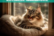 揭秘猫咪为何不睡自己的窝，睡眠习惯与心理分析