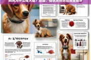 狗狗得犬瘟的原因、症状及预防措施全解析