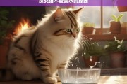 探究猫不爱喝水的原因，猫不爱喝水的原因探究