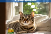 关于猫尿被子原因的深度剖析，猫尿被子原因剖析