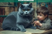 探寻英短蓝猫的奥秘，英短蓝猫的奥秘探寻