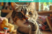 探究猫咬自己的原因，猫为何咬自己