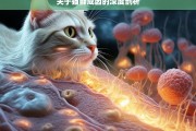 关于猫藓成因的深度剖析，猫藓成因剖析