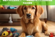 泰迪犬咬人行为解析，原因与应对策略全揭秘