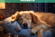 狗狗的睡眠之谜，狗狗睡眠的奥秘