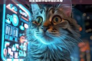 探索猫咪呼噜呼噜的奥秘，猫咪呼噜呼噜的奥秘探索