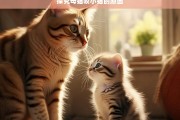 探究母猫咬小猫的原因，母猫咬小猫原因探究