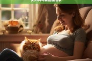 关于怀孕与养猫的那些事，怀孕与养猫的关系探讨