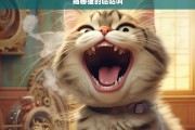 揭秘猫的咕咕叫，揭秘猫的咕咕叫之谜