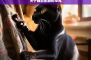 关于猫抓东西的探究，猫抓东西现象之探究