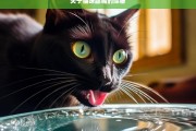 关于猫咪舔嘴的探秘，猫咪舔嘴的秘密