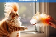 猫与挠痒痒的奇妙关系，猫与挠痒痒的奇妙关联