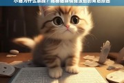 小猫为何暴躁？揭秘猫咪情绪波动的背后原因