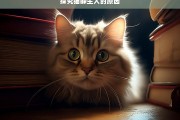 探究猫躲主人的原因，猫为何躲主人