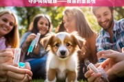 守护狗狗健康——疫苗的重要性，守护狗狗健康，疫苗至关重要