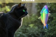 猫吃鱼的奥秘，猫与鱼的奇妙关系之奥秘