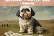 京巴犬为何逐渐淡出人们视野？——探究京巴狗养的人少的原因