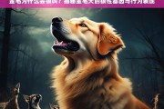 金毛犬为何会狼叫？探索其狼性基因与行为背后的秘密