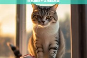 探究猫咪不让抱的原因，猫咪为何不让抱