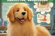 泰迪狗不掉毛的原因，揭秘泰迪犬毛发的独特特性