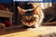 探究猫咪闻屁股行为背后的奥秘，猫咪闻屁股行为的奥秘探究