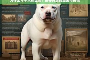 揭秘斗牛犬高昂价格的背后原因与独特价值