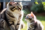 探究公猫咬小猫的原因，公猫咬小猫的原因探究