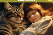 猫咪挨着人睡觉的奥秘，猫咪挨着人睡觉的奥秘探究