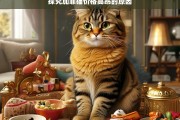 探究加菲猫价格高昂的原因，加菲猫价格高昂之因探究