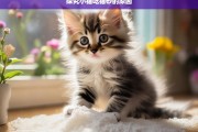 探究小猫吃猫砂的原因，小猫为何吃猫砂