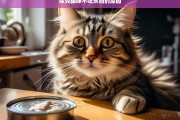 探究猫咪不吃东西的原因，猫咪为何不吃东西