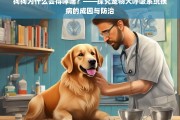 狗狗哮喘的成因与防治，揭秘宠物犬呼吸系统疾病的奥秘