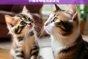 小猫咬母猫现象探究，小猫咬母猫现象之析