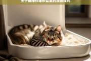 关于猫睡在猫砂盆里的原因探究，猫睡在猫砂盆里的原因剖析