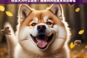 秋田犬的微笑之谜，揭秘狗狗笑容背后的科学真相