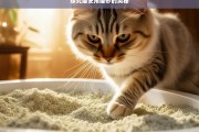 探究猫使用猫砂的奥秘，猫与猫砂的奥秘探究