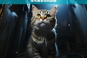 探究猫害怕的原因，猫为何害怕之探究