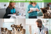 宠物绝育的科学依据与人文意义，为何选择为爱宠绝育？