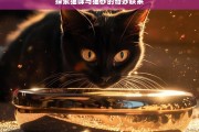 探索猫咪与猫砂的奇妙联系，猫咪与猫砂的奇妙关联探索