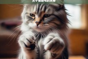 关于猫舔毛的奥秘，猫舔毛的奥秘探究