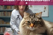 猫咪呕吐原因解析及应对策略