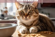 探究猫不吃猫粮的原因，猫为何不吃猫粮