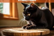 关于猫磨爪子的探究，探究猫磨爪子的奥秘