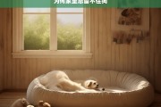 为何家里总留不住狗，为何家犬难留住