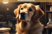 探究贵宾犬的高智商之谜，贵宾犬高智商之谜探究