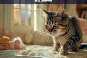 猫之洁癖探秘，探究猫的洁癖现象