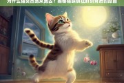 猫咪突然狂奔的背后，揭秘疯狂时刻的真正原因