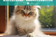 猫咪天生会用猫砂？揭秘其本能行为背后的秘密